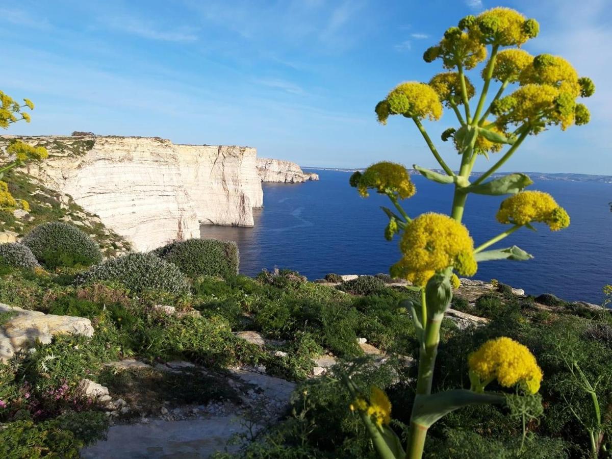 Ad Hoc B&B Il-Pergla Bagian luar foto